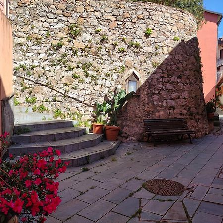 Camera Tra Le Cinque Terre, Camogli E Portofino. Vista Valle E Scorcio Mare All'Orizzonte Castiglione Chiavarese Eksteriør bilde