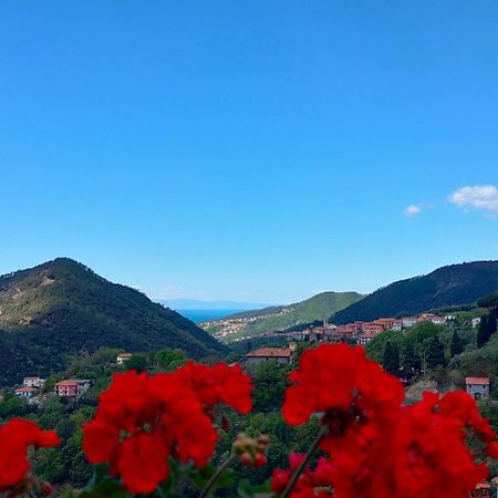 Camera Tra Le Cinque Terre, Camogli E Portofino. Vista Valle E Scorcio Mare All'Orizzonte Castiglione Chiavarese Eksteriør bilde