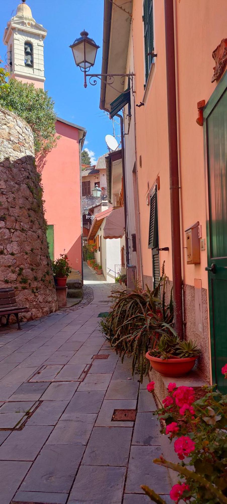 Camera Tra Le Cinque Terre, Camogli E Portofino. Vista Valle E Scorcio Mare All'Orizzonte Castiglione Chiavarese Eksteriør bilde
