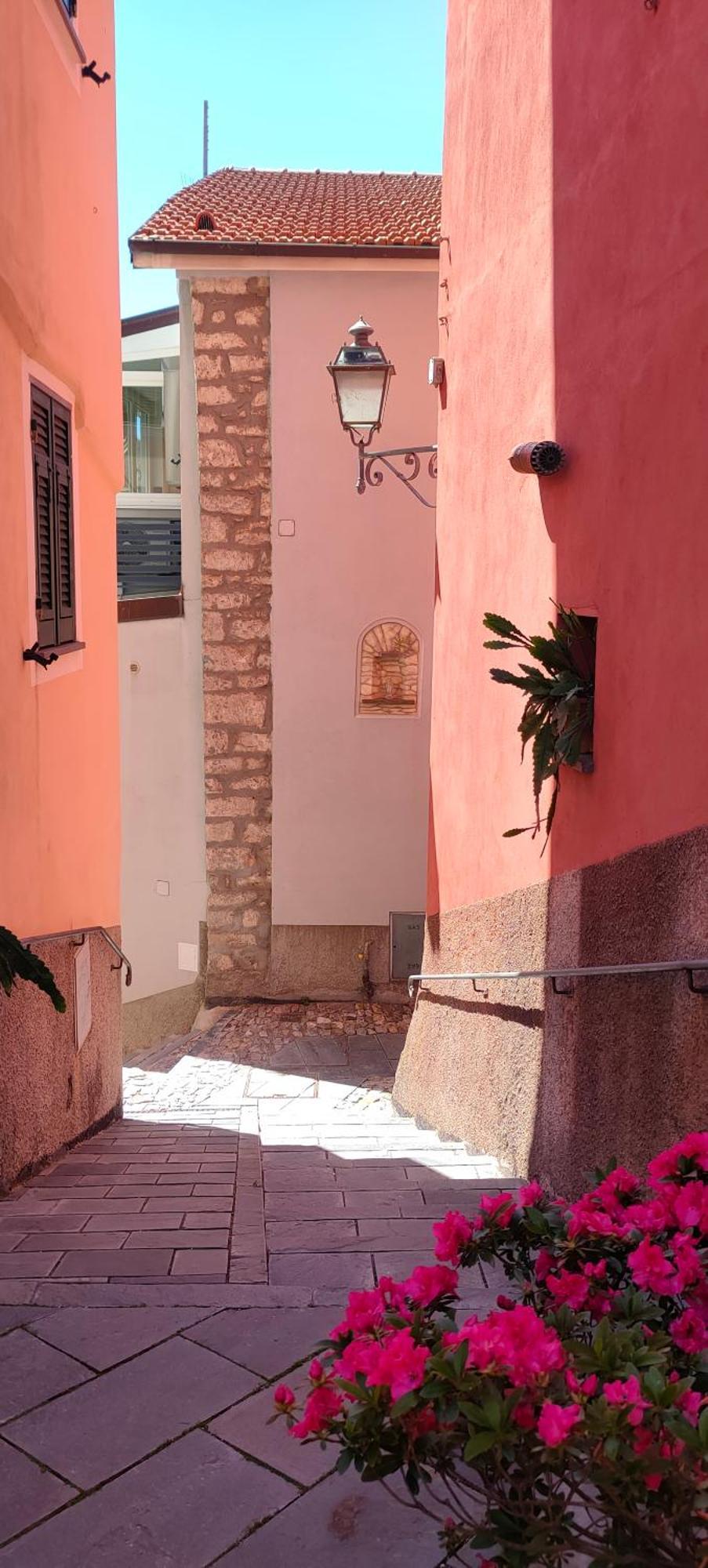 Camera Tra Le Cinque Terre, Camogli E Portofino. Vista Valle E Scorcio Mare All'Orizzonte Castiglione Chiavarese Eksteriør bilde