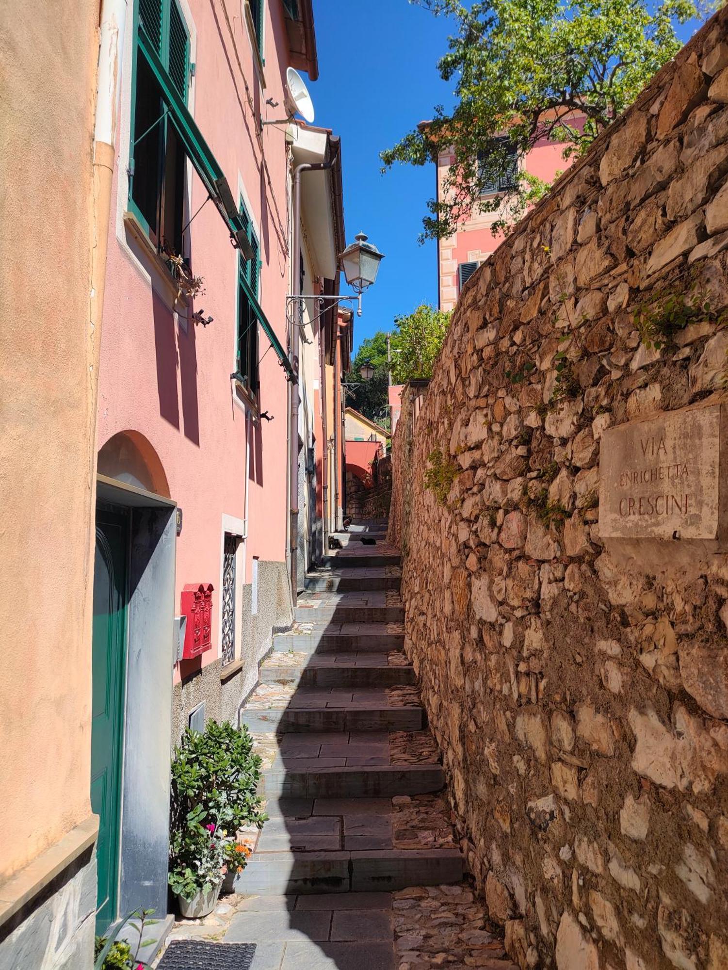 Camera Tra Le Cinque Terre, Camogli E Portofino. Vista Valle E Scorcio Mare All'Orizzonte Castiglione Chiavarese Eksteriør bilde