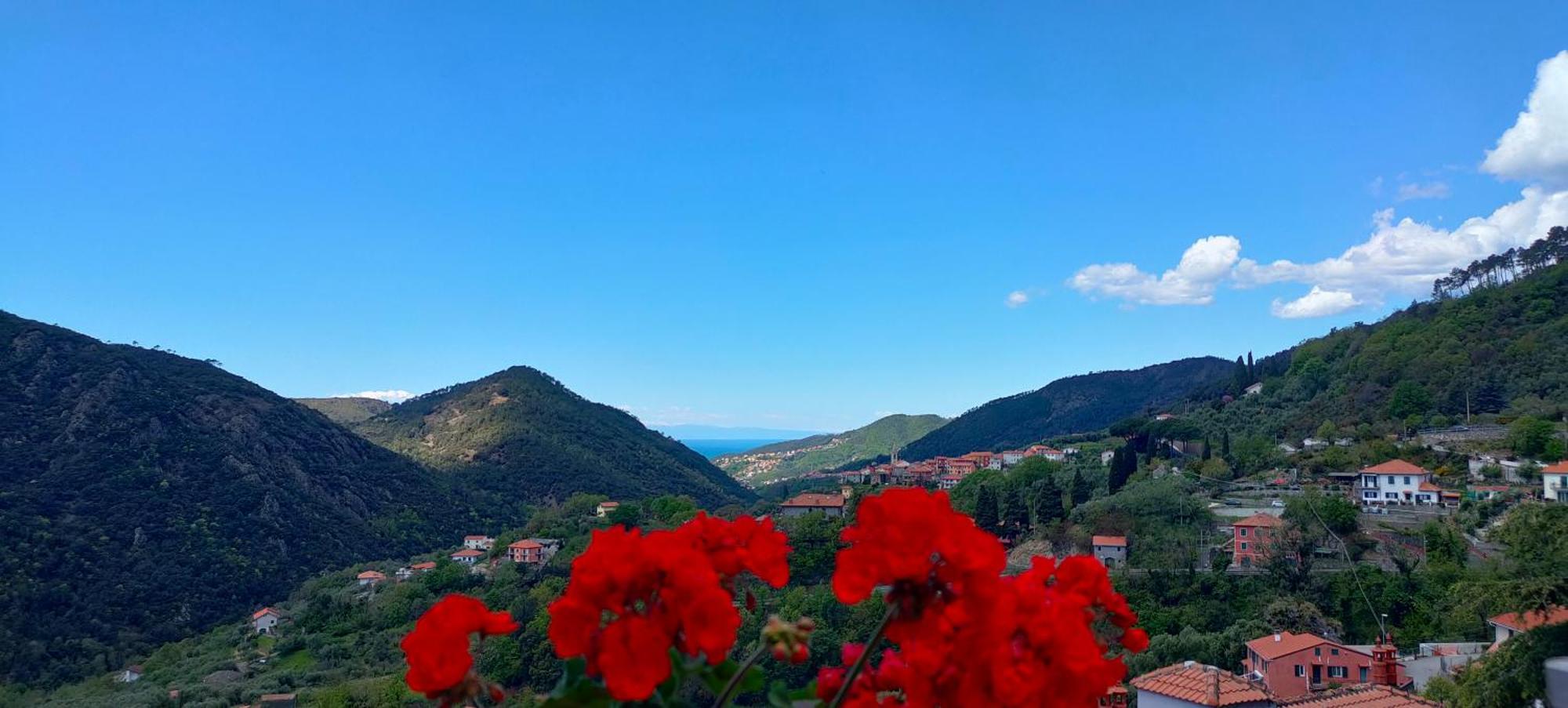 Camera Tra Le Cinque Terre, Camogli E Portofino. Vista Valle E Scorcio Mare All'Orizzonte Castiglione Chiavarese Eksteriør bilde